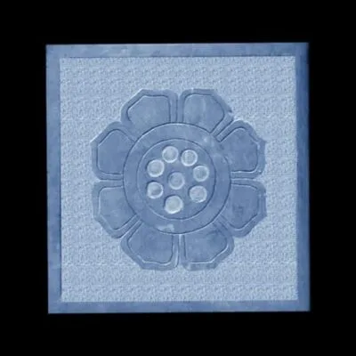Mẫu Đá Lát